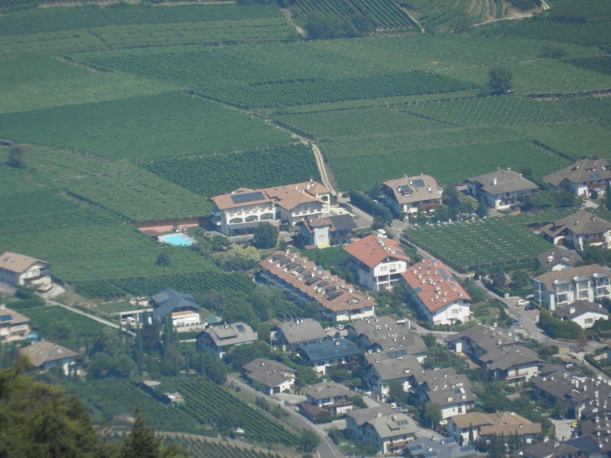 Garni Hotel Peterlinhof Caldaro Dış mekan fotoğraf
